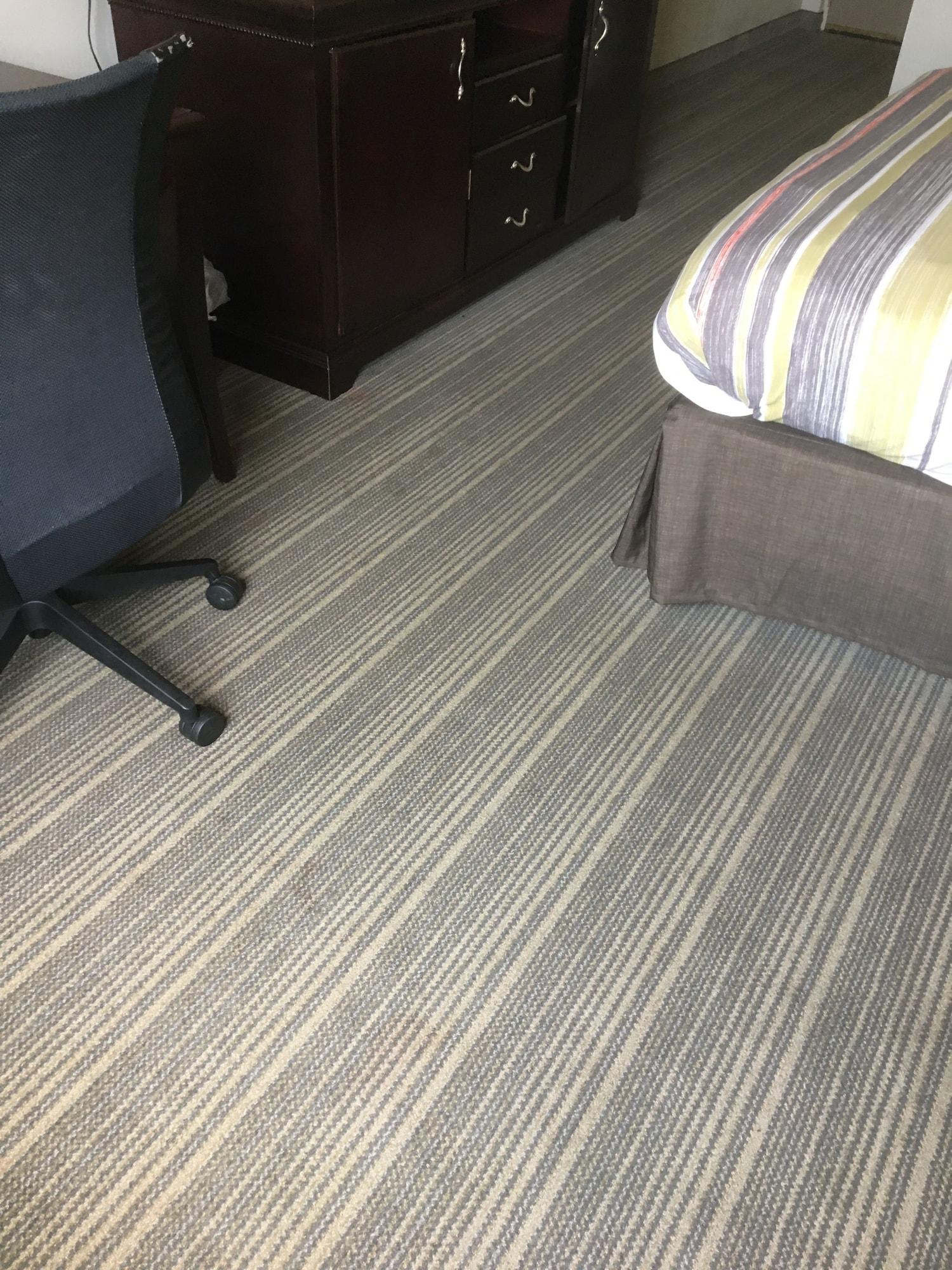 Baymont By Wyndham Sumter Hotell Eksteriør bilde