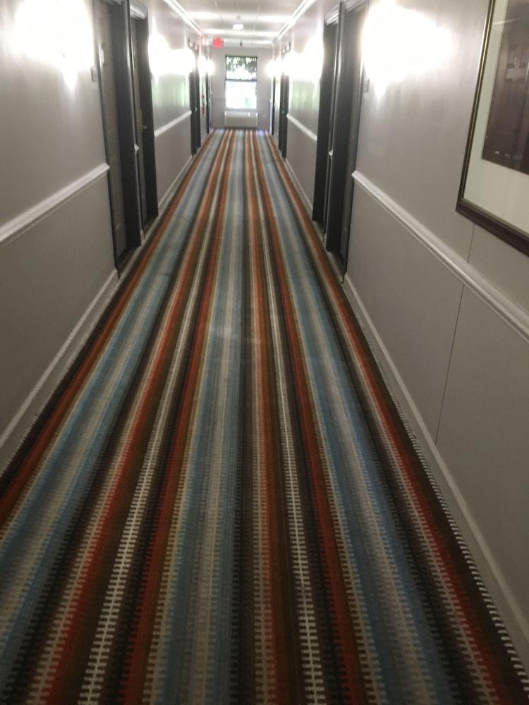 Baymont By Wyndham Sumter Hotell Eksteriør bilde